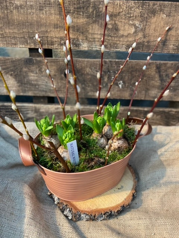 Scented Spring planter