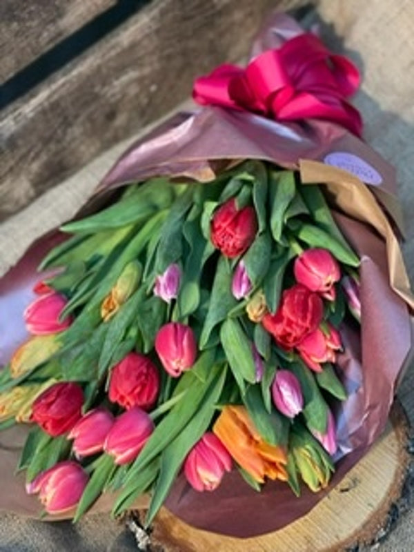 Everything’s coming up tulips